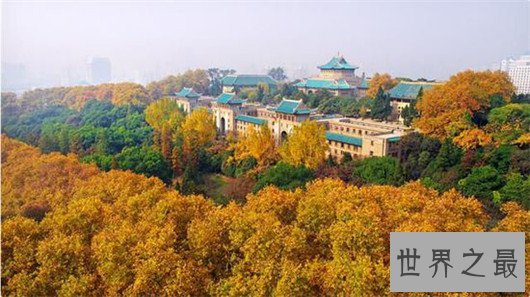 中国最美大学，错过了这些你一定觉得很可惜