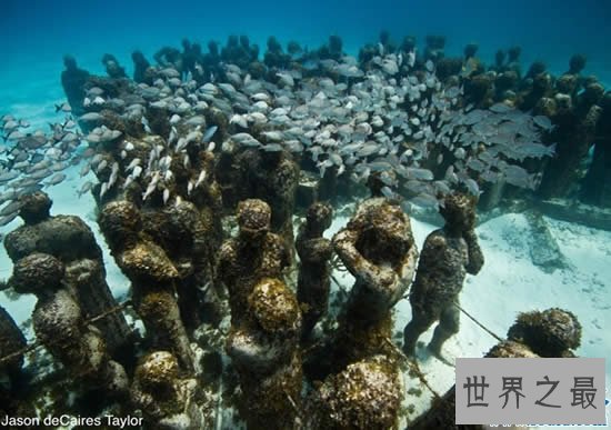 全球十大惊悚地点，美国费城马特博物馆尸横遍野