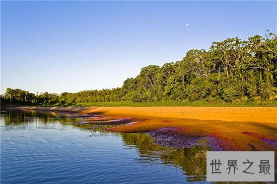 世界野生动物园排名，马迪迪国家公园超好看