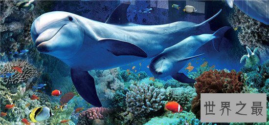 世界十大水族馆排名，盘点世界上那些著名的水族馆