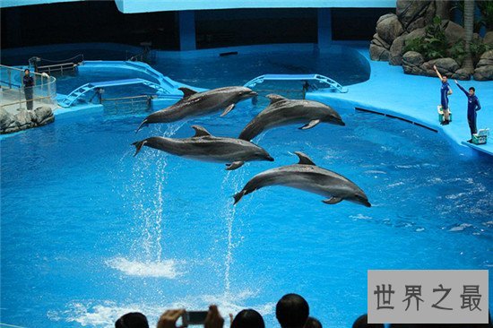 世界十大水族馆排名，盘点世界上那些著名的水族馆