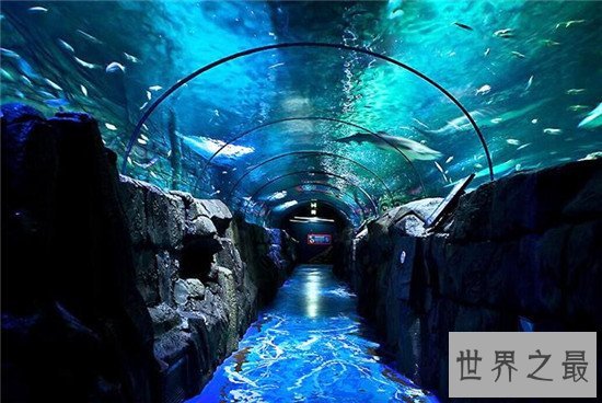 世界十大水族馆排名，盘点世界上那些著名的水族馆