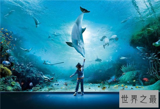 世界十大水族馆排名，盘点世界上那些著名的水族馆