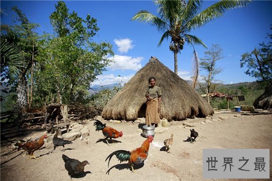 世界上十个最饥饿的国家，中非共和国成为世界上最饥饿的国家！