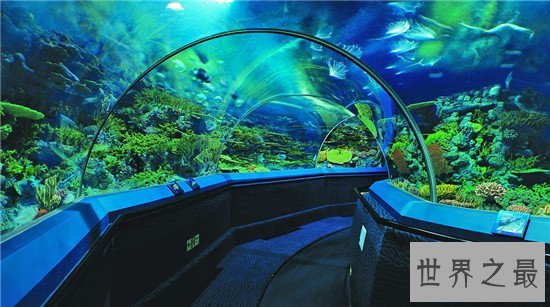 世界最大的水族馆排行榜前十名，Georgia Aquarium如同一个小型海洋