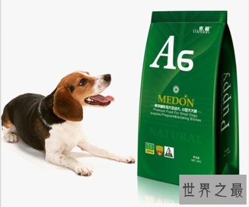 世界十大狗粮品牌，让小狗可以放心食用的狗粮。