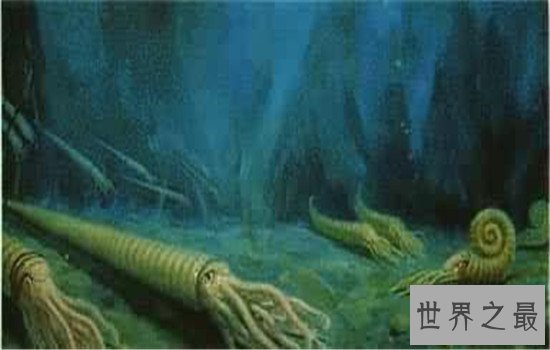 奥陶纪十大恐怖生物，有些生物至今还存在于海洋中