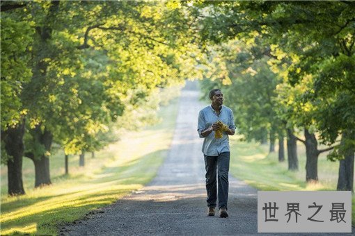 人体十大黄金养生保健的最佳时间，养生有道