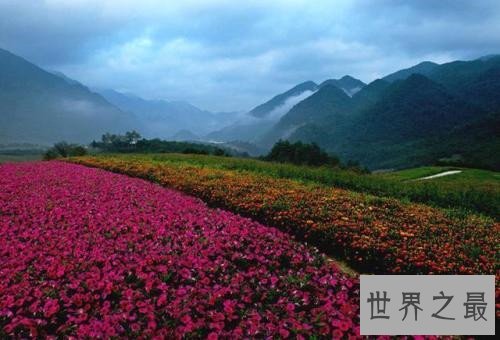 中国十大最美的山峰排行榜，神秘的泰山的风景最迷人