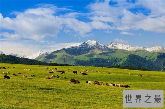 盘点中国十大最美草原排行榜，假期旅游必去圣地！