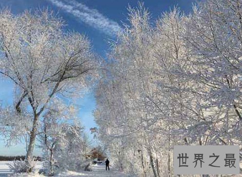 百年难得一遇莫斯科降雪破纪录，造成1死多伤2000棵树倒塌