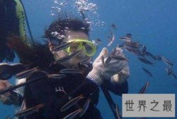 世界上人类潜水最深纪录是多少，332米为何成为人类潜水极限