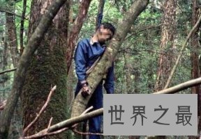 世界最恐怖的森林，超500人在这里自杀，指南针都毫无效果