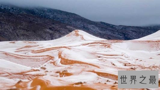 世界最热的沙漠撒哈拉沙漠，曾经竟然下过雪！