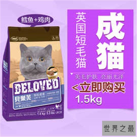 世界猫粮品牌排行，猫粮品牌排行榜【最新公布名单】