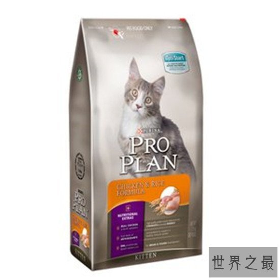 世界猫粮品牌排行，猫粮品牌排行榜【最新公布名单】