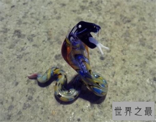 玻璃蛇的特征和外形介绍 多数人认为它属于蜥蜴类