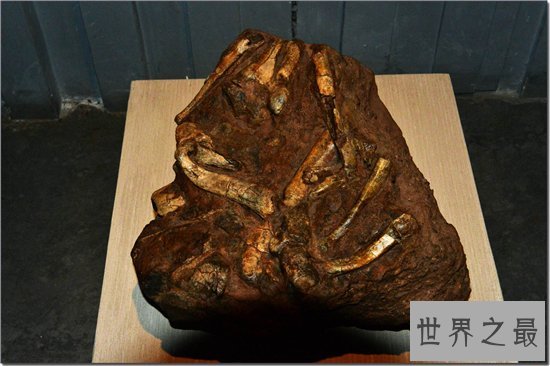 中国境内最早的人类，元谋人源于1700000年前！