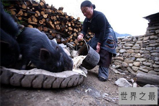 中国人口最少的民族，古老而又神秘的珞巴族