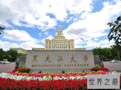 小语种专业大学排名，哪些小语种专业大学好？