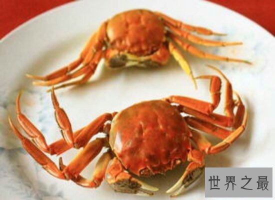 吃螃蟹不能吃什么  这些食物都和螃蟹是相克食物千万不能吃