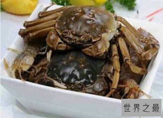 吃螃蟹不能吃什么  这些食物都和螃蟹是相克食物千万不能吃