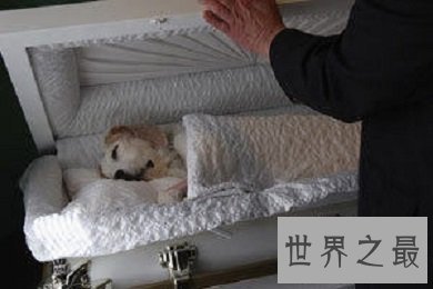 由于安乐死无痛的特殊性，探讨一下安乐死多少钱