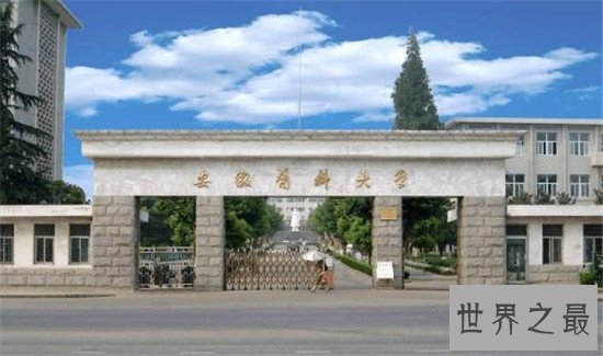 安徽大学排名前十名 安徽大学是211工程重点大学