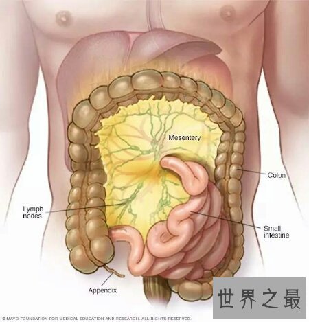 肠系膜淋巴结炎的了会很严重吗 怎么治疗