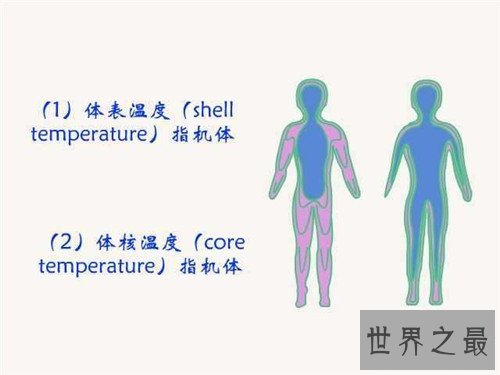 人体的正常温度是多少度 怎样正确测量小儿温度