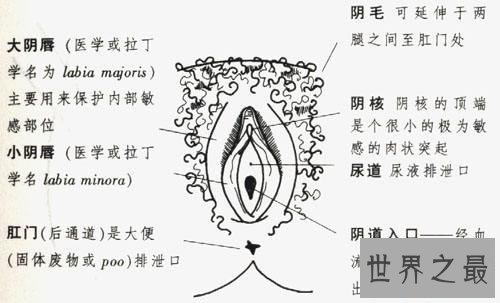 女孩生殖器是长什么样子 现实中居然有长得这么像的景点