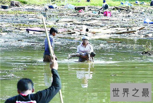 印尼海啸死了多少人 灾难过后海滩惊现无名巨怪