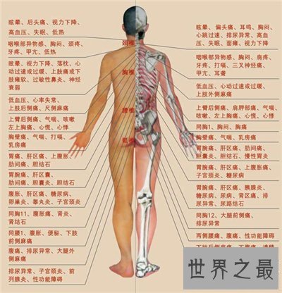 人体构造图解介绍 美国发现人体新型DNA