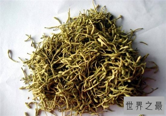 金银花茶的功效与作用，能对抗外感风热喉咙干燥