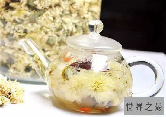 白菊花茶的功效与作用，败火降暑是大家熟知的功效