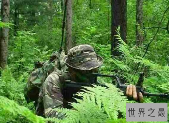 中国龙焱特种部队  敌人闻风丧胆 中国人的骄傲