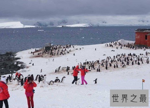 世界上风力最大的地区，平均每年8级以上的大风有300天