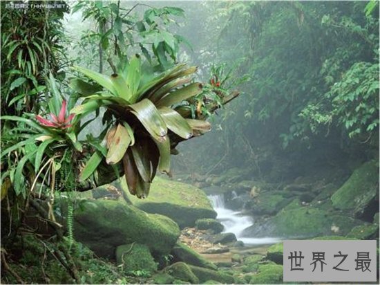 世界上雨量最多的国家，这个国家的降水是真多！