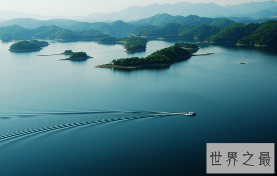 我国最大的淡水湖鄱阳湖风景优美，简直是一个物种宝库！