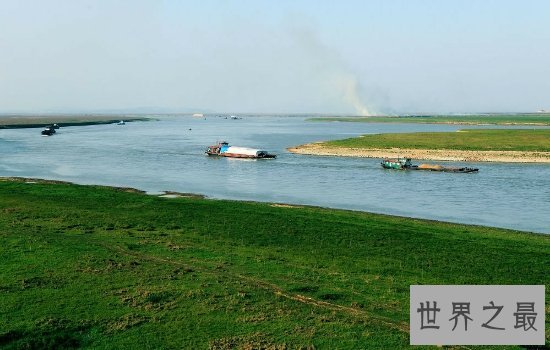 我国最大的淡水湖鄱阳湖风景优美，简直是一个物种宝库！