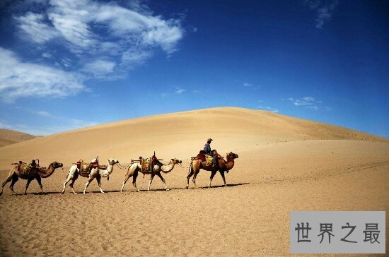 世界最大的沙漠，撒哈拉沙漠曾埋藏过许多热情的旅游者