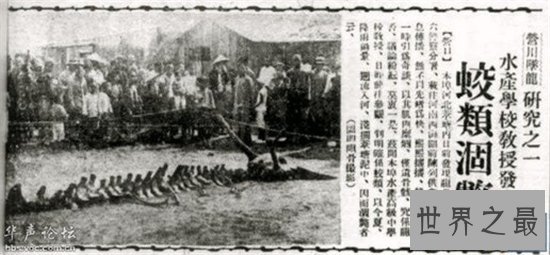 在1934年的营口坠龙事件发生经过 是否真的存在传说中的“龙”这一生物