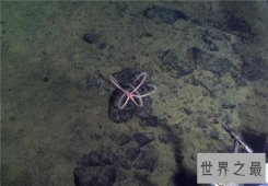 世界上最深的海沟排行榜，第一名形成时间已经6000万年