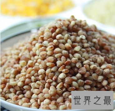 高粱米的功效与作用 你知道它的最佳食用方法和禁忌吗？