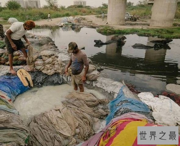 世界上最肮脏的城市，印度德里(全部被污染)