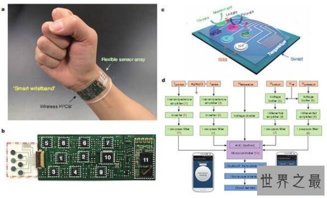 世界最新型传感器问世，通过汗液分析身体状况