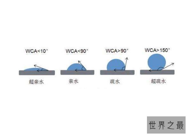 科学家打造最新超疏水材料，灵感来自可爱的河豚