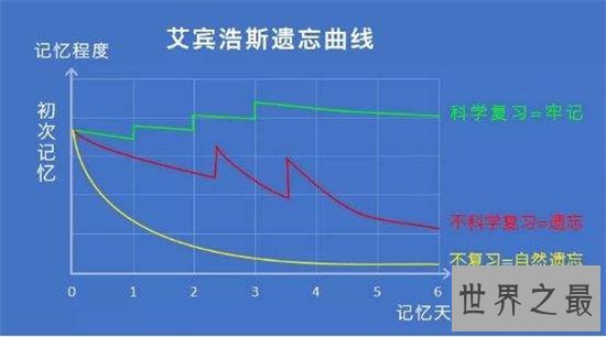 抗遗忘曲线增强记忆力，更能减缓遗忘的速度