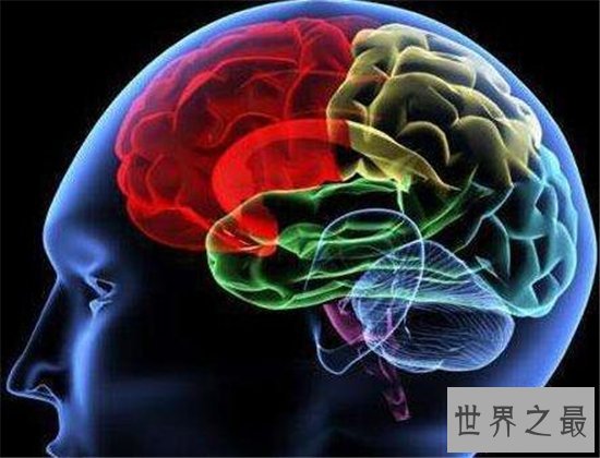 最令人抓狂的十大科学发现，这些你都知道吗？