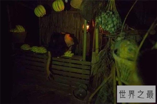 女鬼病毒利用人们恐惧心理，影响精神状态甚至吓死人